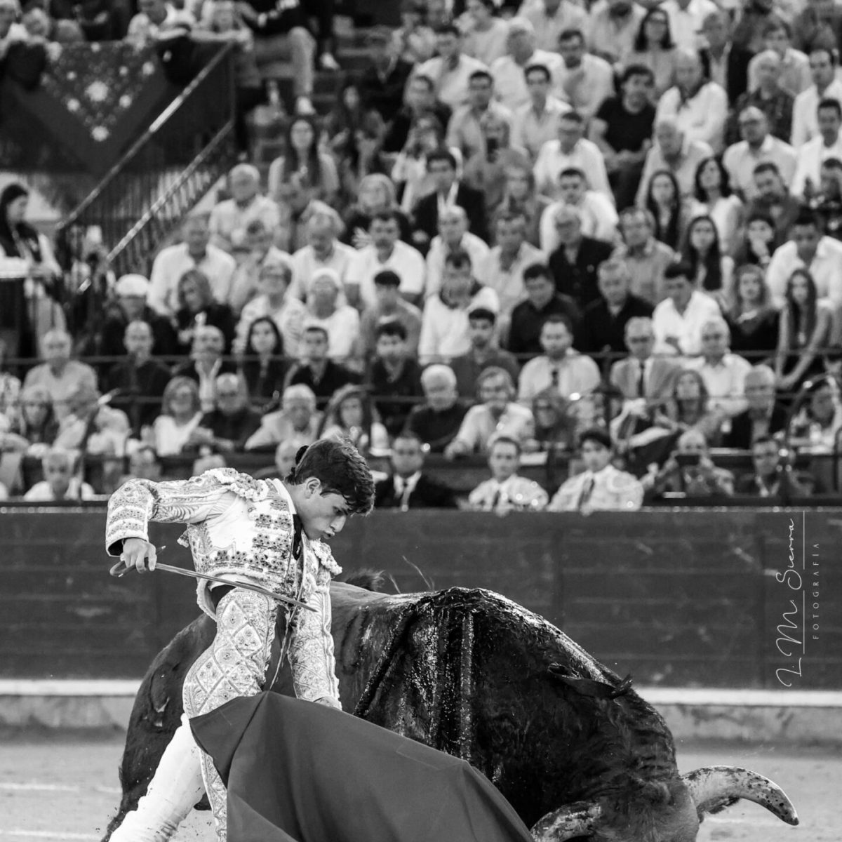 1eecbe03-e837-4fce-95ad-ca6daa3cc033 4